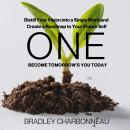 You Won: One Word, One Book, One Day, One Year, One (New) You: Write Your One-Word Book in One Day,  Audiobook