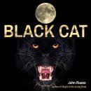 Black Cat Audiobook