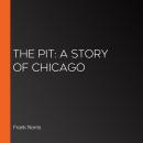 The Pit: A Story of Chicago Audiobook