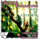 [Portuguese] - Coleção Sons Relaxantes - sons de cigarras Audiobook