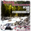 [Portuguese] - Coleção Sons Relaxantes - sons de corredeiras Audiobook