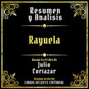 [Spanish] - Resumen Y Analisis - Rayuela: Basado En El Libro De Julio Cortazar (Edicion Extendida) Audiobook
