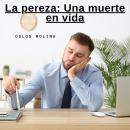 [Spanish] - La pereza: Una muerte en vida: Experiencias AA Audiobook