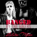 Cover of Banged by the Bikers - Part 1: Group Menage Sex / Gangbang Biker Erotica