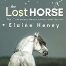 The Lost Horse - Book 6 in the Connemara Horse Adventure Series for Kids | The Perfect Gift for Chil Audiobook