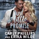 Cover of Just a Little Promise