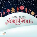 A Visit to the North Pole Audiobook