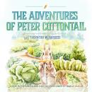 The Adventures of Peter Cottontail Audiobook