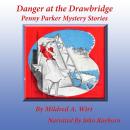 Danger At the Drawbridge: Penny Parker Mystery Stories Audiobook