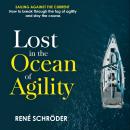 Lost in the Ocean of Agility Audiobook