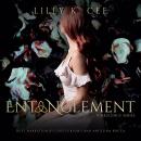 Entanglement: Turbulence, I Audiobook