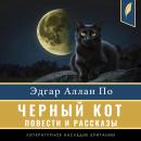 [Russian] - The Black Cat (Compilation of short stories) [Russian Edition] Audiobook