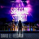 A Special Storm: A Dora Ellison Mystery, Book 5 Audiobook