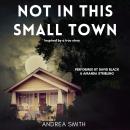 Not In This Small Town Audiobook