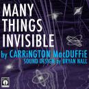 Many Things Invisible Audiobook