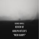 [Italian] - Review of Adolph Hitler's 'Mein Kampf' Audiobook