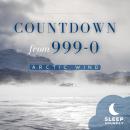 Countdown from 999-0: Arctic Wind Audiobook