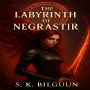 The Labyrinth of Negrastir Audiobook