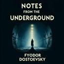 Notes from the Underground Audiobook