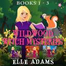 Wildwood Witch Mysteries: Books 1-3 Audiobook