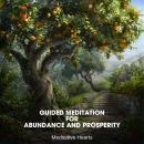 Guided Meditation for Abundance and Prosperity Audiobook