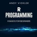 R Programming: R Basics for Beginners Audiobook