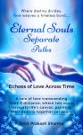 Eternal Souls, Separate Paths Audiobook