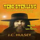 Tebo Sterling - The Texas Bounty Hunter Series: A Classic Western Audiobook