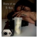 Diary of an D-Boy Audiobook