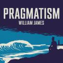 Pragmatism Audiobook