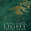 I Saw Your Light from Afar Audiobook