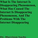 What Is The Internet Is Disappearing Phenomenon, What Has Caused The Internet Is Disappearing Phenom Audiobook