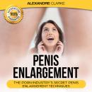 Cover of Penis Enlargement: The Porn Industry's Secret Penis Enlargement Techniques.