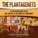 The Plantagenets: A Captivating Guide to the Rise and Fall of the House of Plantagenet Audiobook