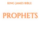 Prophets - King James Bible Audiobook