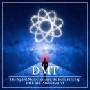 DMT: The Spirit Molecule and Its Relationship with the Pineal Gland Audiobook