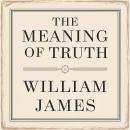 The Meaning of Truth Audiobook