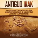 [Spanish] - Antiguo Irak: Una guía fascinante sobre Mesopotamia: desde los sumerios y acadios hasta  Audiobook