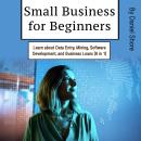 Small Business for Beginners: Learn about Data Entry, Mining, Software Development, and Business Loa Audiobook