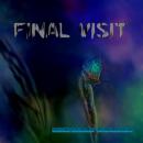 Final Visit Audiobook