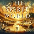 The Spirit World: Harness The Power to Conquer The Physical World Audiobook