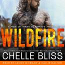 Wildfire Audiobook