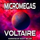 Micromegas: Cosmic Perspectives: An Interstellar Inquiry into Humanity Audiobook