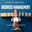 Business Management Principles for Today's Leaders: A Practical Guide for Professionals Audiobook