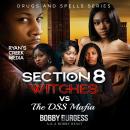 Section 8 Witches VS The DSS Mafia Audiobook