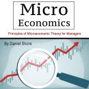 Micro Economics: Principles of Microeconomic Theory for Managers Audiobook