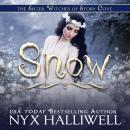 Snow Audiobook