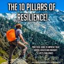 The 10 Pillars Of Resilience!: Practical Guide To Improve Your Mental Health And Navigate Life's Cha Audiobook