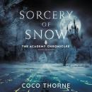 Sorcery of Snow: The Academy Chronicles Audiobook