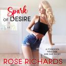 Spark of Desire: A Forbidden First Time Age Gap Short Audiobook